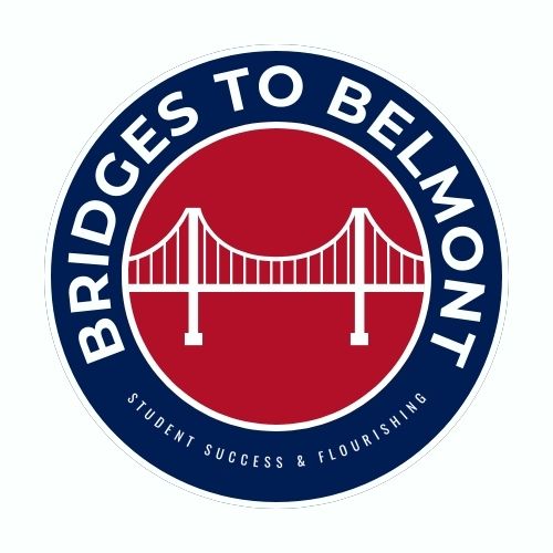 Bridges to Belmont Store